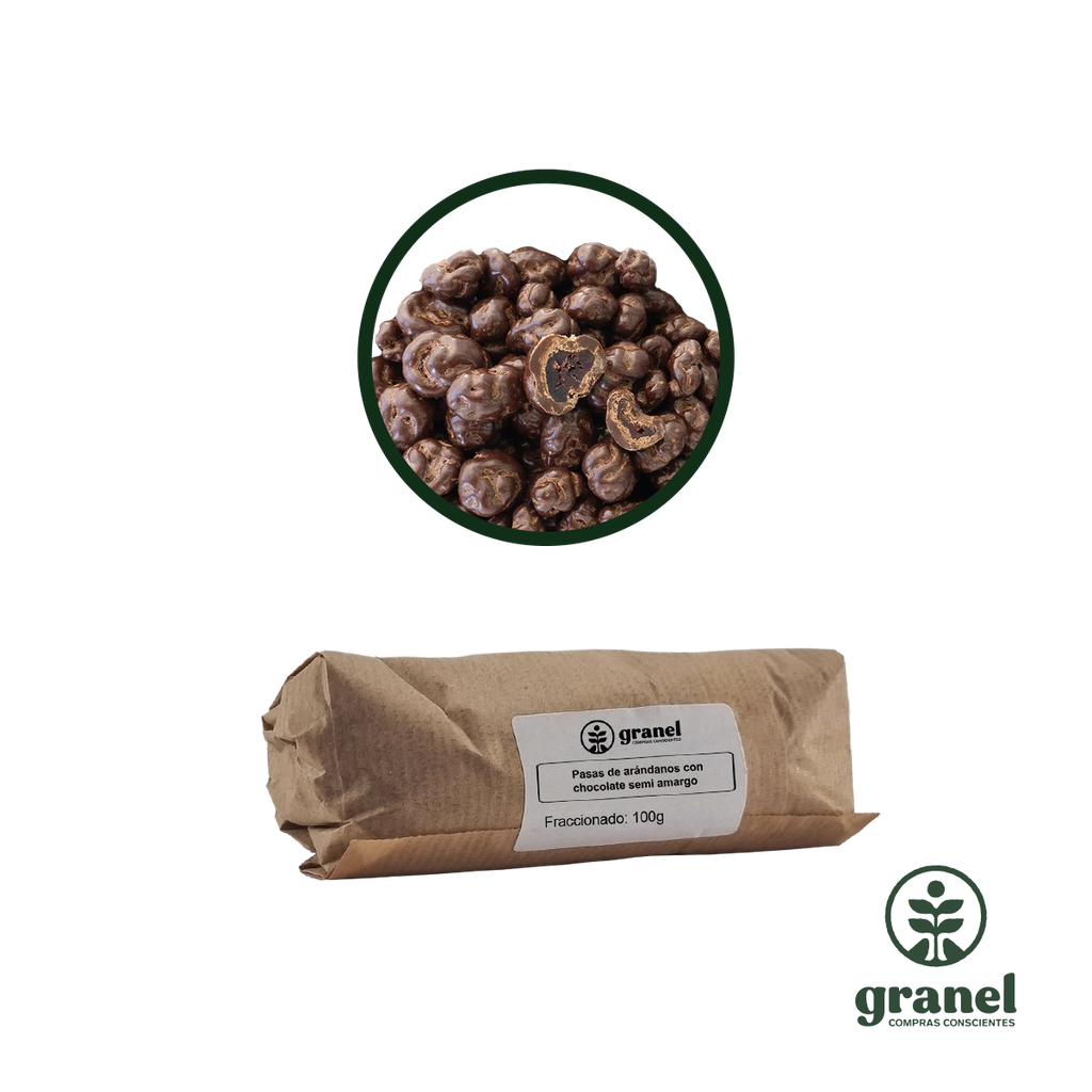 Pasas de arándanos con chocolate semi amargo 100g